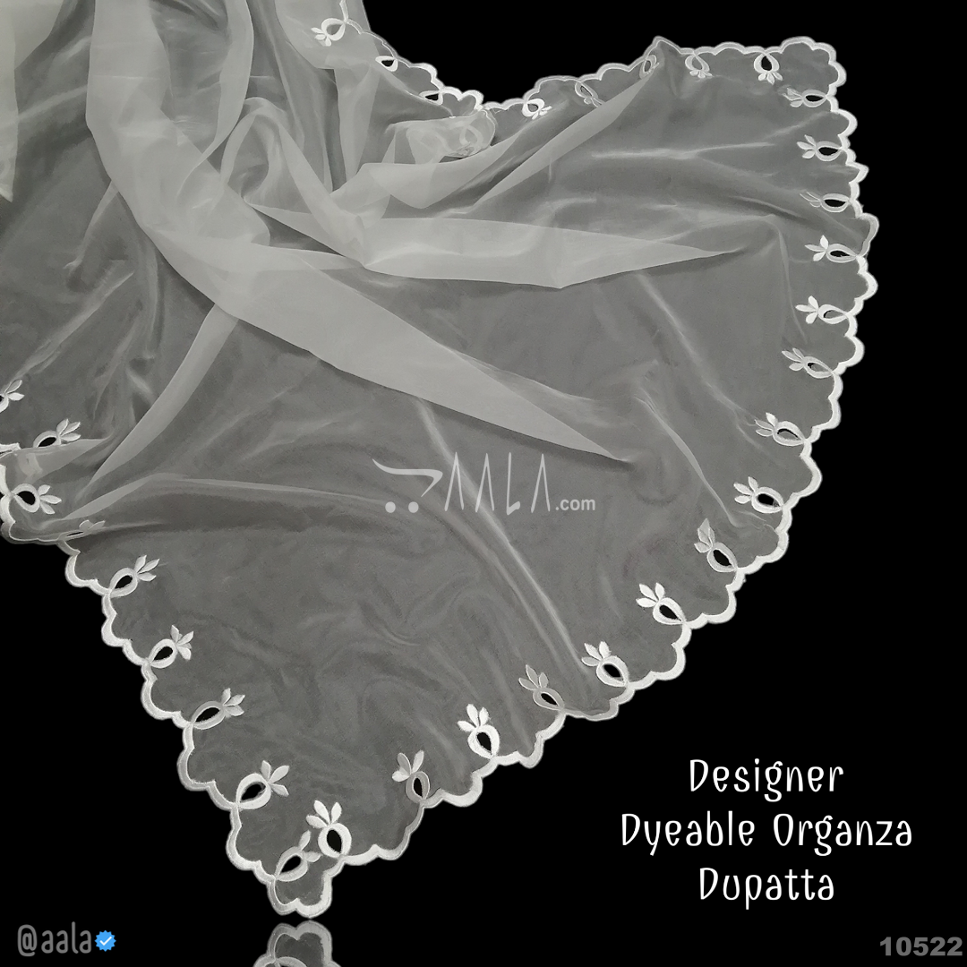Handcrafted Organza Nylon Dupatta-40-Inches DYEABLE 2.25-Metres #10522