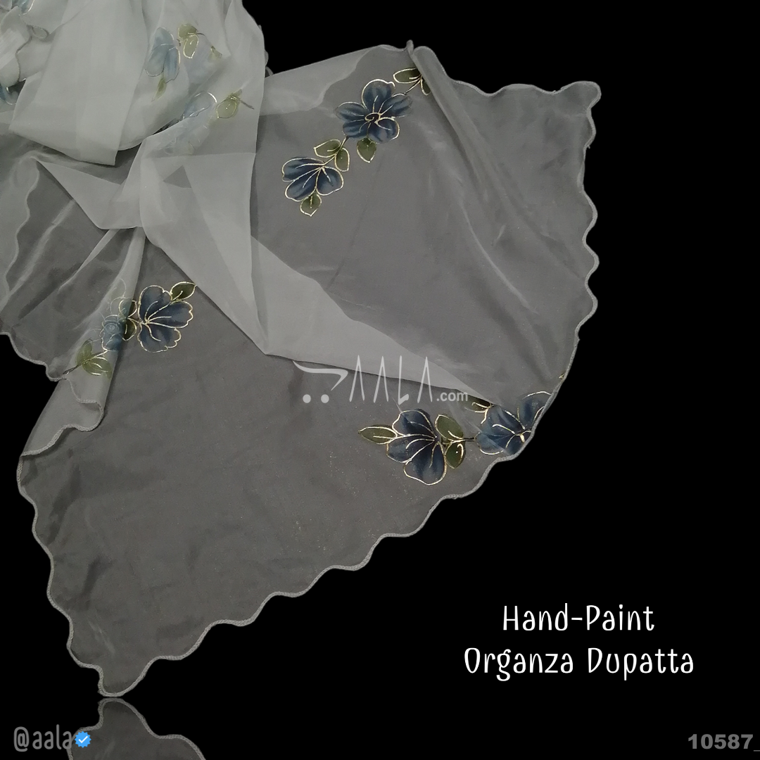 Hand-Painted Organza Nylon Dupatta-38-Inches ASSORTED 2.25-Metres #10587