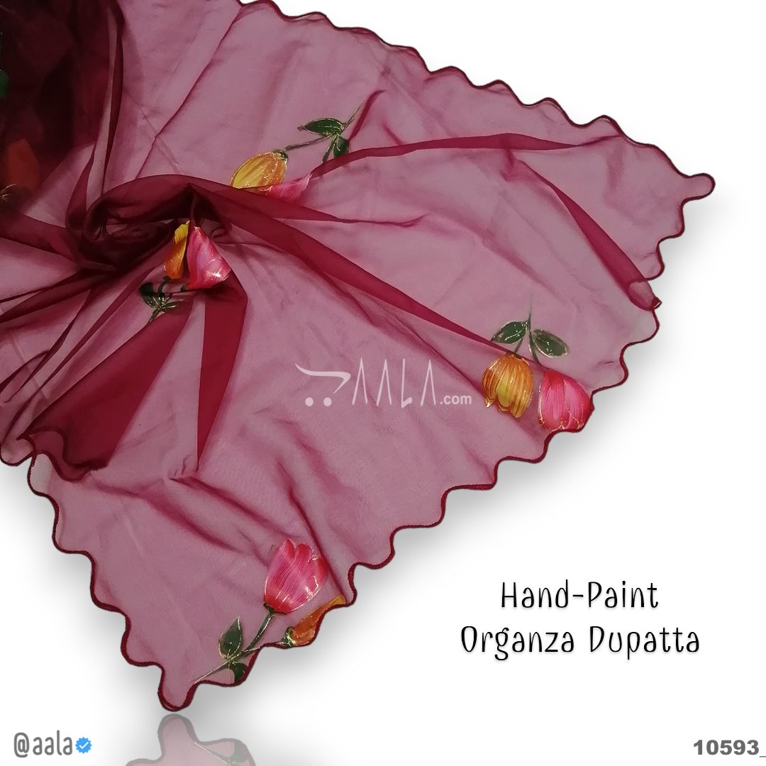 Hand-Painted Organza Nylon Dupatta-38-Inches ASSORTED 2.25-Metres #10593