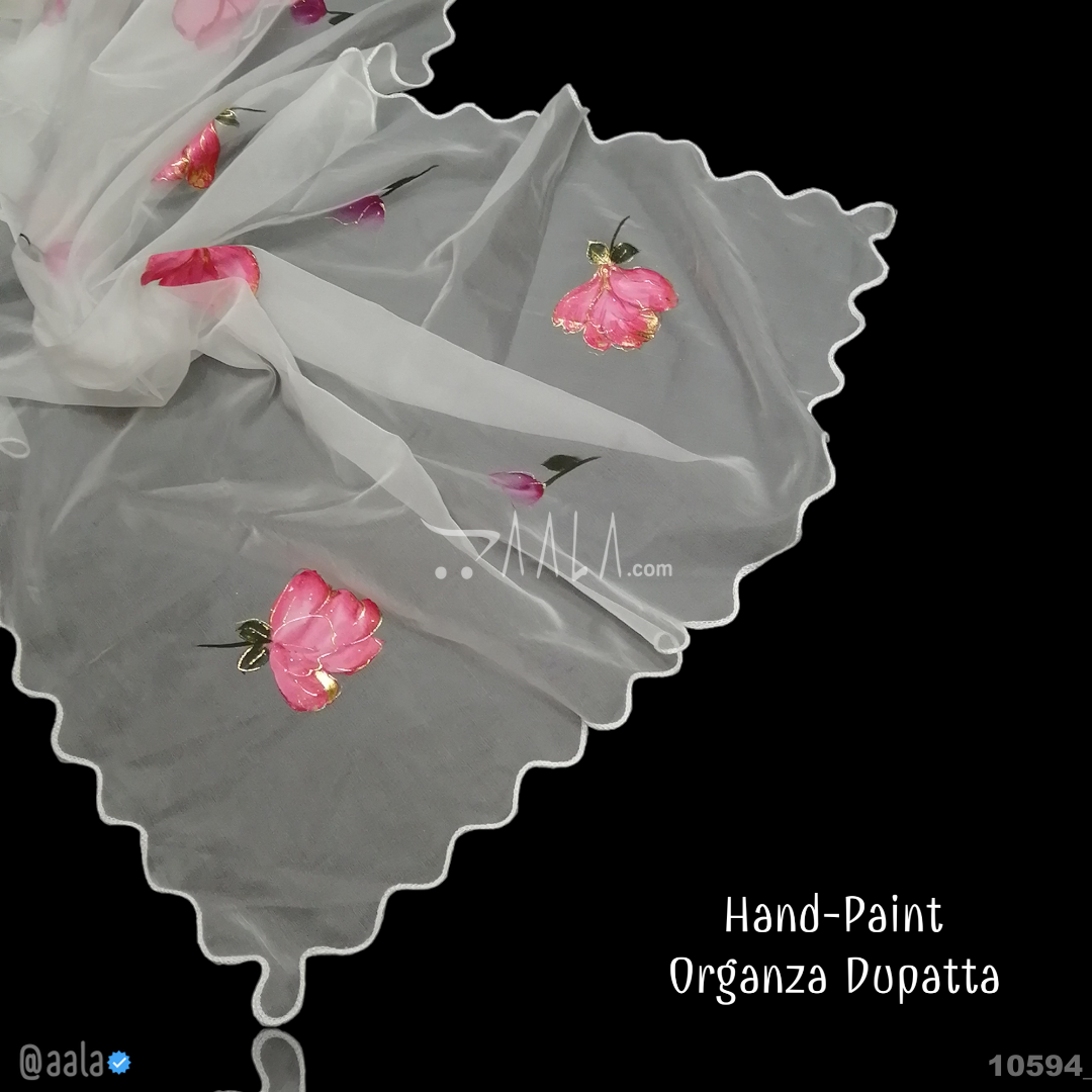 Hand-Painted Organza Nylon Dupatta-38-Inches ASSORTED 2.25-Metres #10594