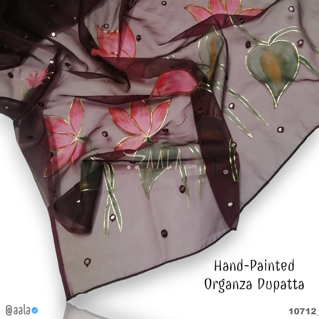 Hand-Painted Organza Nylon Dupatta-38-Inches ASSORTED 2.25-Metres #10712