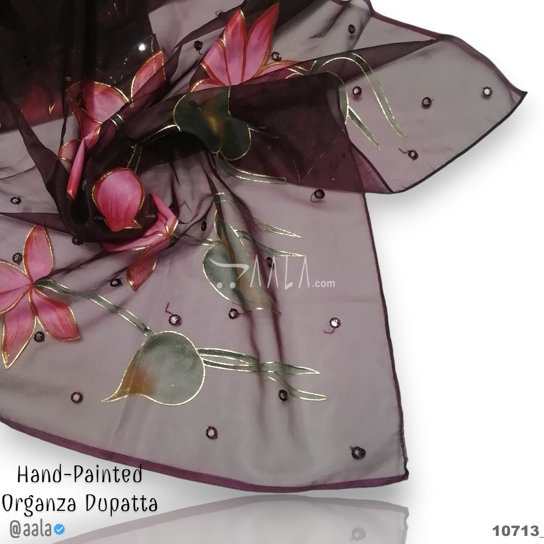 Hand-Painted Organza Nylon Dupatta-38-Inches ASSORTED 2.25-Metres #10713