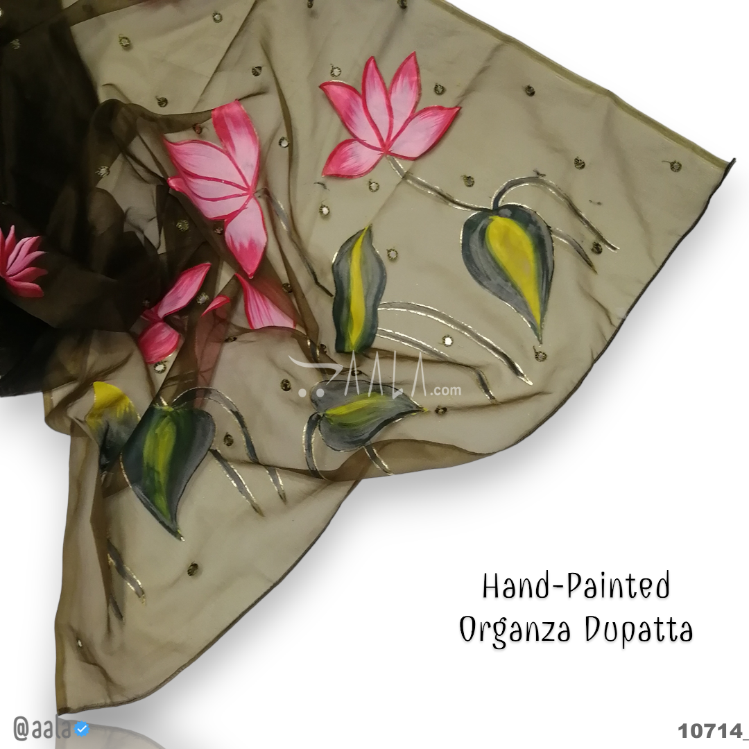 Hand-Painted Organza Nylon Dupatta-38-Inches ASSORTED 2.25-Metres #10714