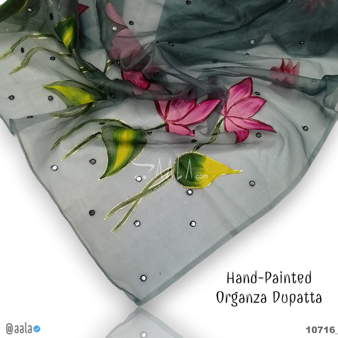 Hand-Painted Organza Nylon Dupatta-38-Inches ASSORTED 2.25-Metres #10716