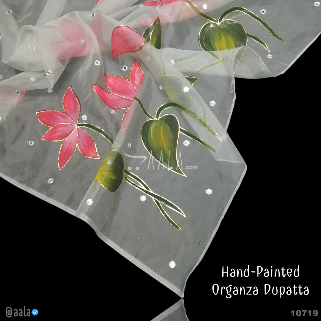Hand-Painted Organza Nylon Dupatta-38-Inches ASSORTED 2.25-Metres 
